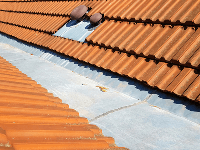 About Leaking Skylight Repair Pros Delaplaine, AR